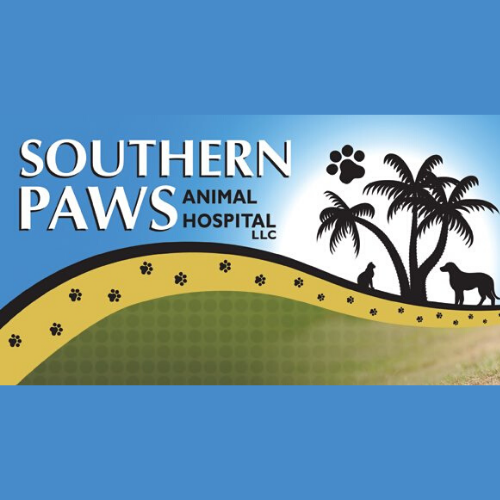 Southern Paws Animal Hospital 102 Recommendations Indian Land Sc