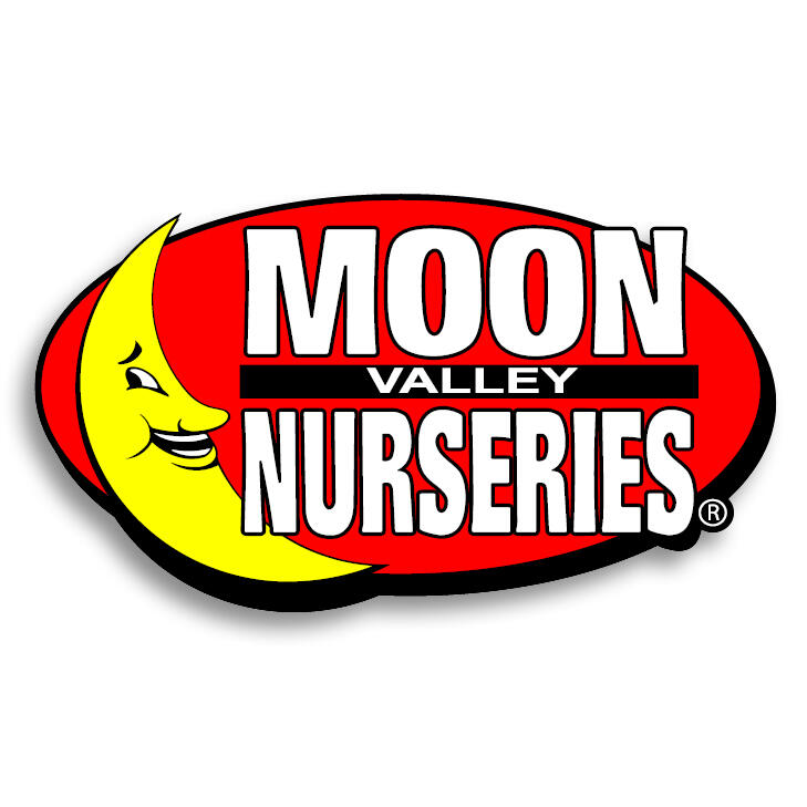 Moon Valley Nurseries 35 Recommendations Surprise Az