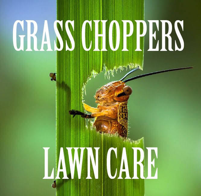 Grass Choppers Lawn Care 2 Port St Lucie, FL Nextdoor