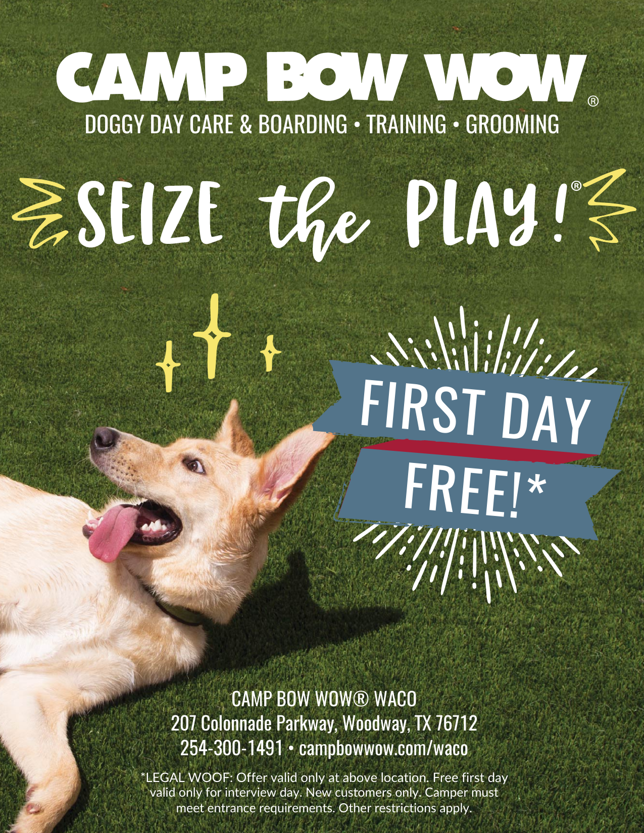 camp bow wow camper application