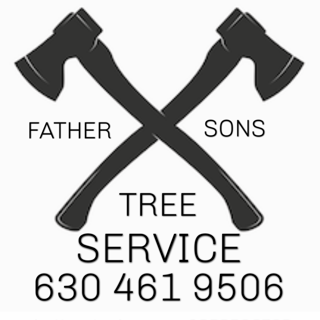 Father and sons tree service 7 recommendations hudson fl nextdoor
