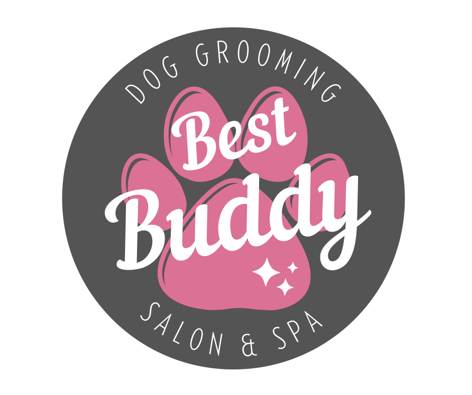 Best Buddy Dog Grooming 1 Market Drayton, GBENG