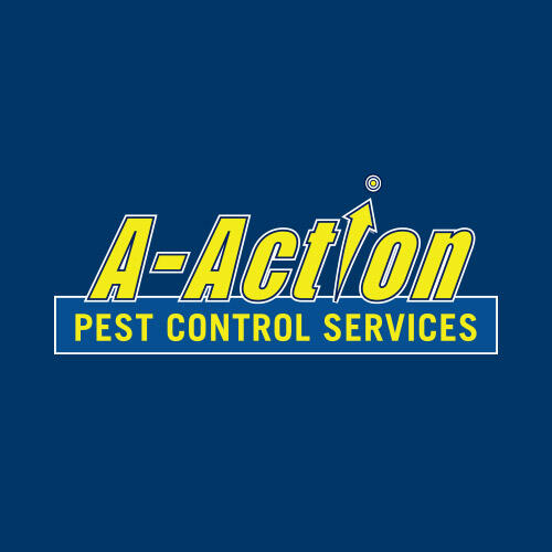 A Action Pest Control Inc 83 Recommendations Antioch Il Nextdoor