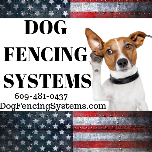 dog fencing systems