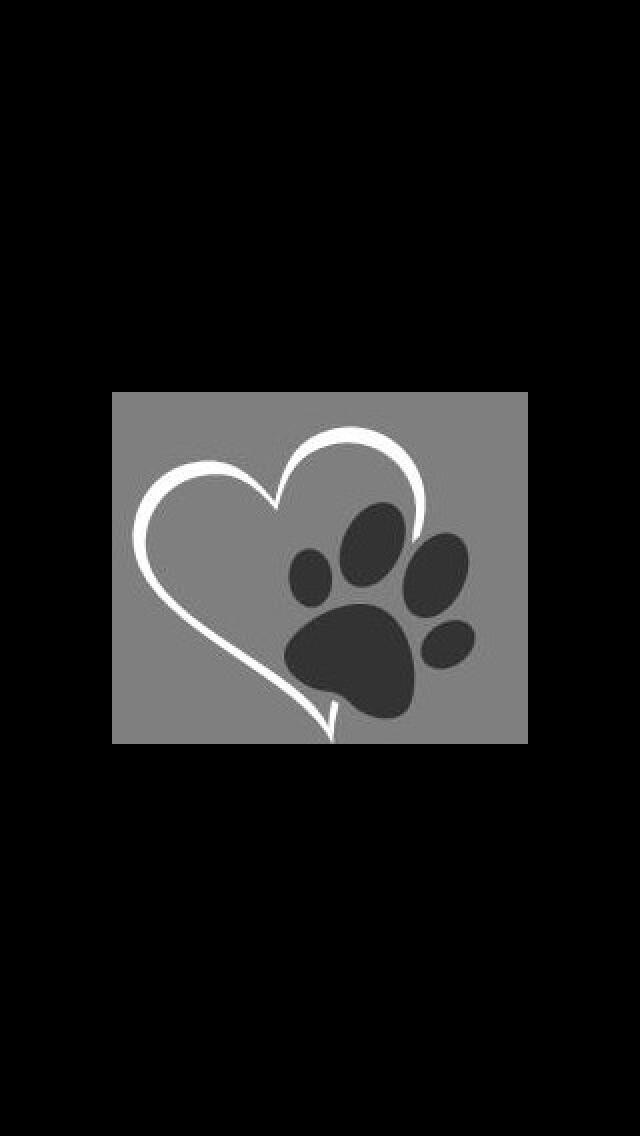 bracklesham pet supplies