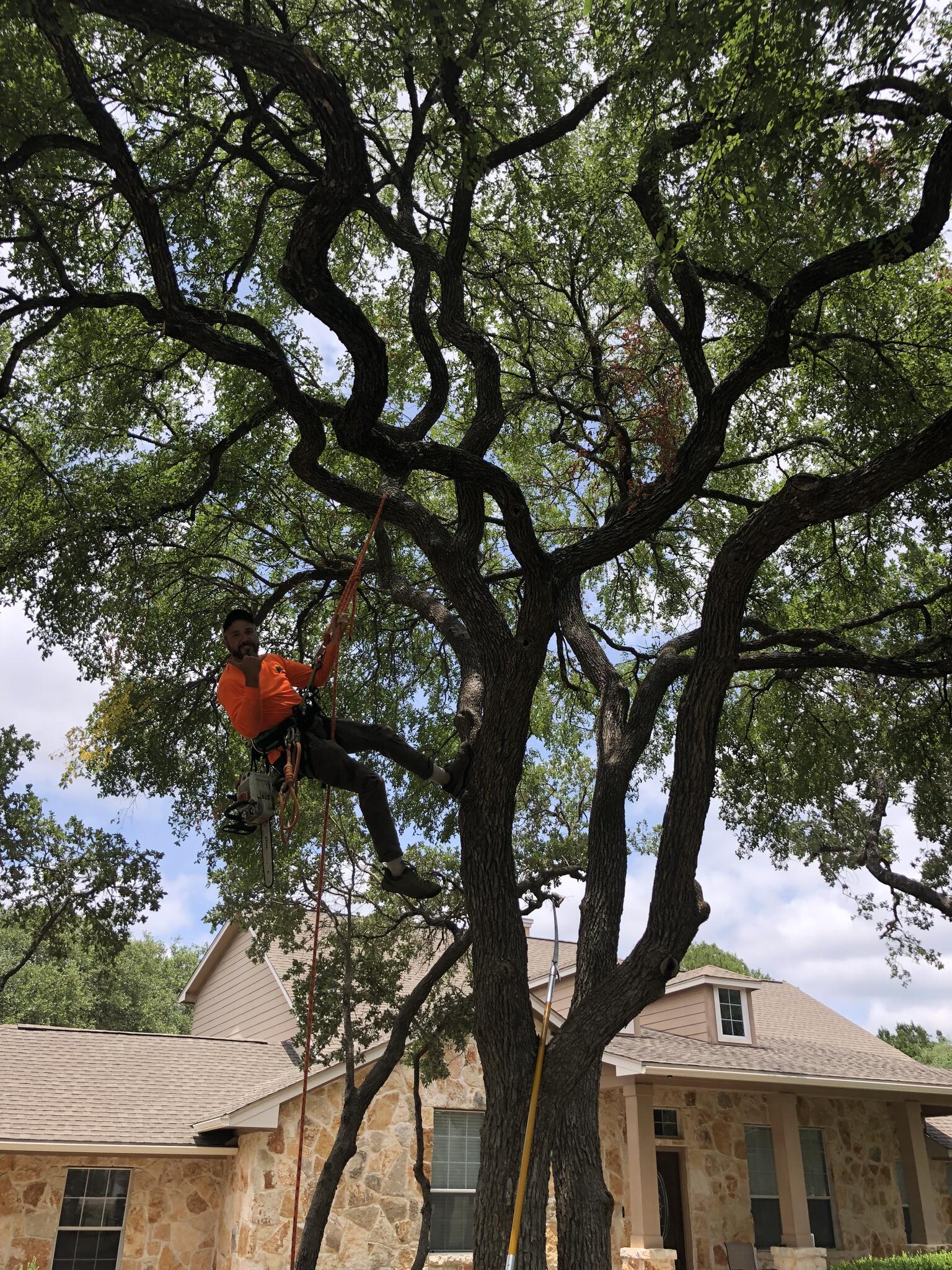 Aldrich Tree Service 3 New Braunfels, TX Nextdoor