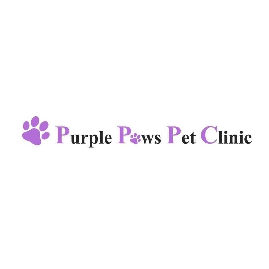 purple paws pet clinic
