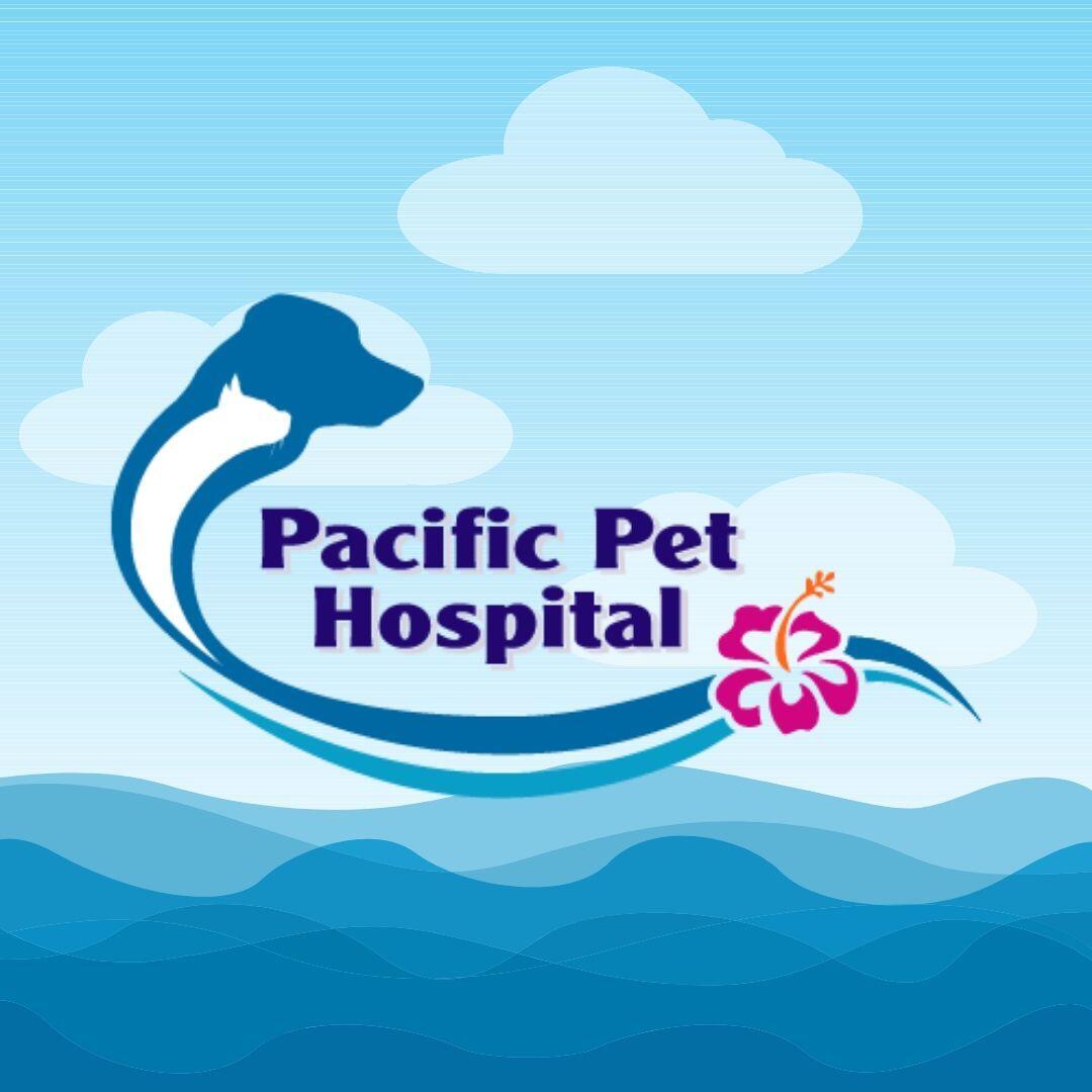 ocean ave pet hospital
