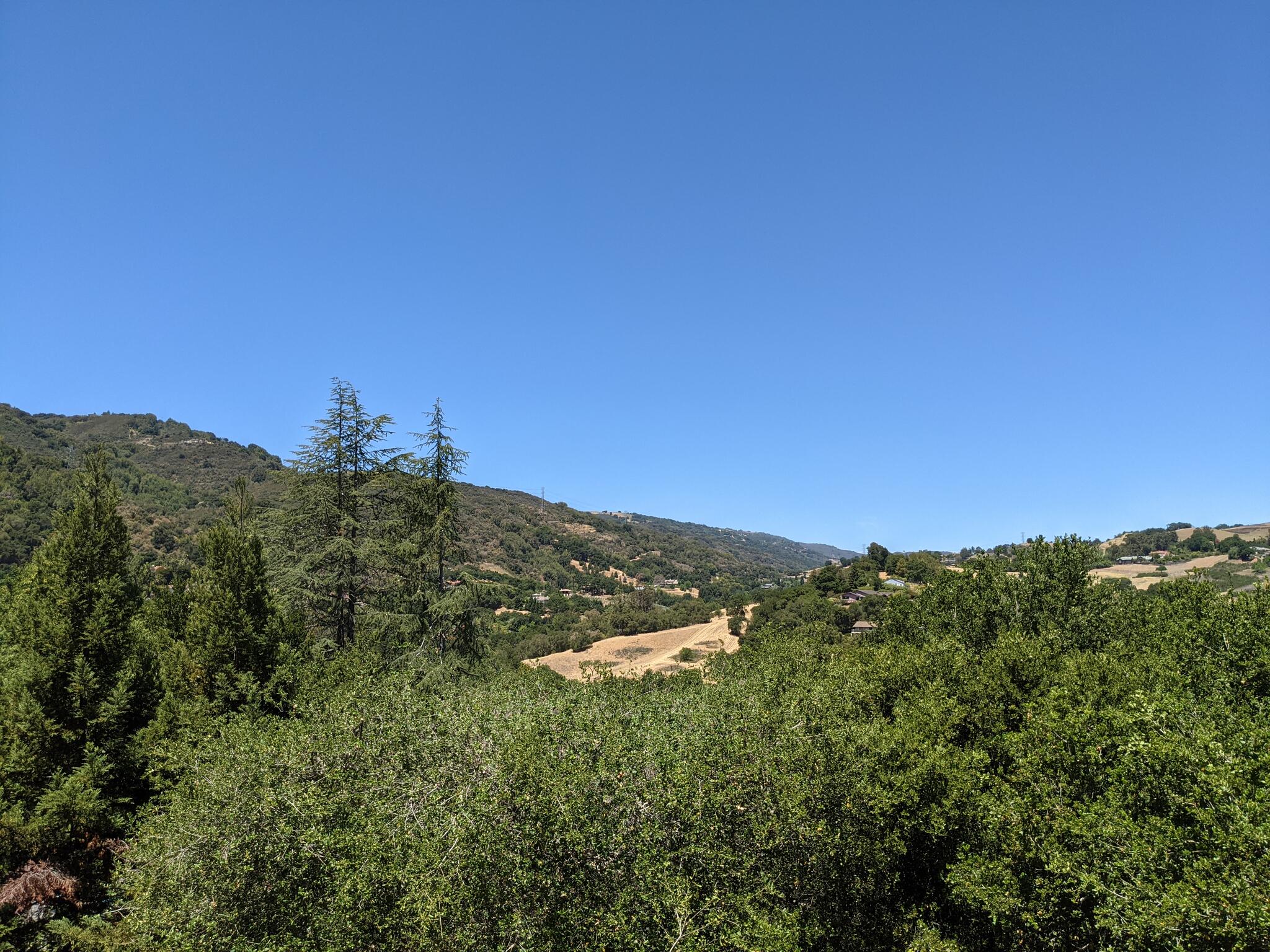 Bourdet Tree Service John 8 Recommendations Campbell Ca