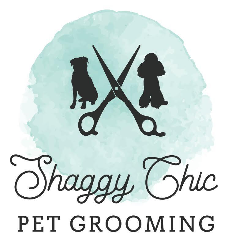 shaggy chic grooming