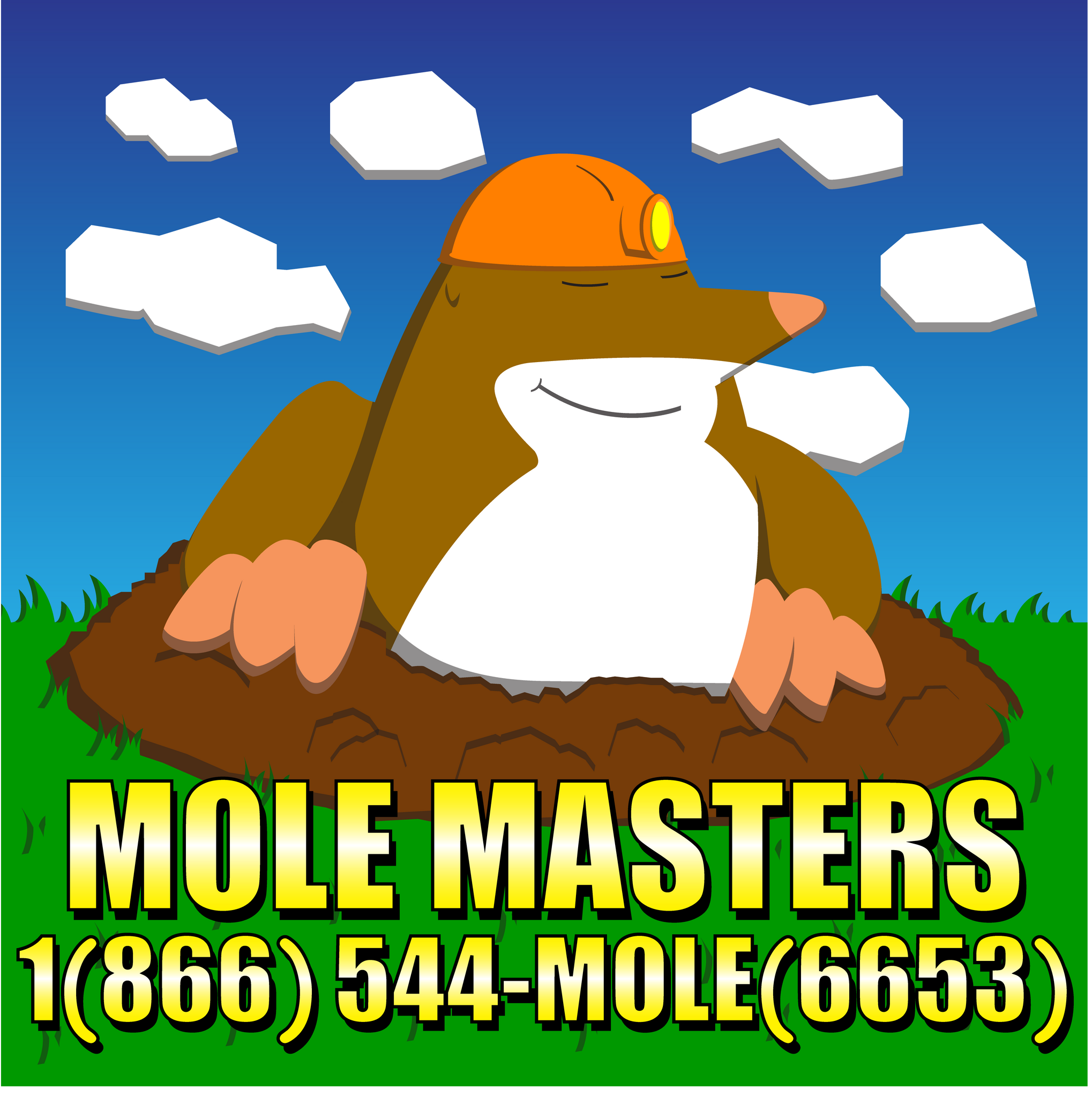 mole-masters-65-recommendations-milton-wa-nextdoor