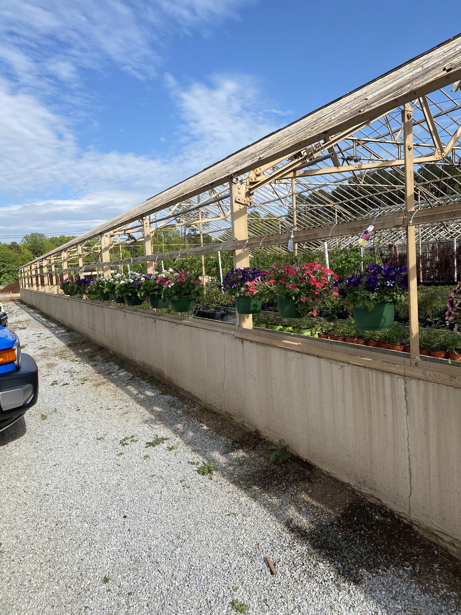 Trees And Plants Nursery And Garden Center 2