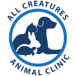 All Creatures Animal Clinic 464 Recommendations Phoenix Az