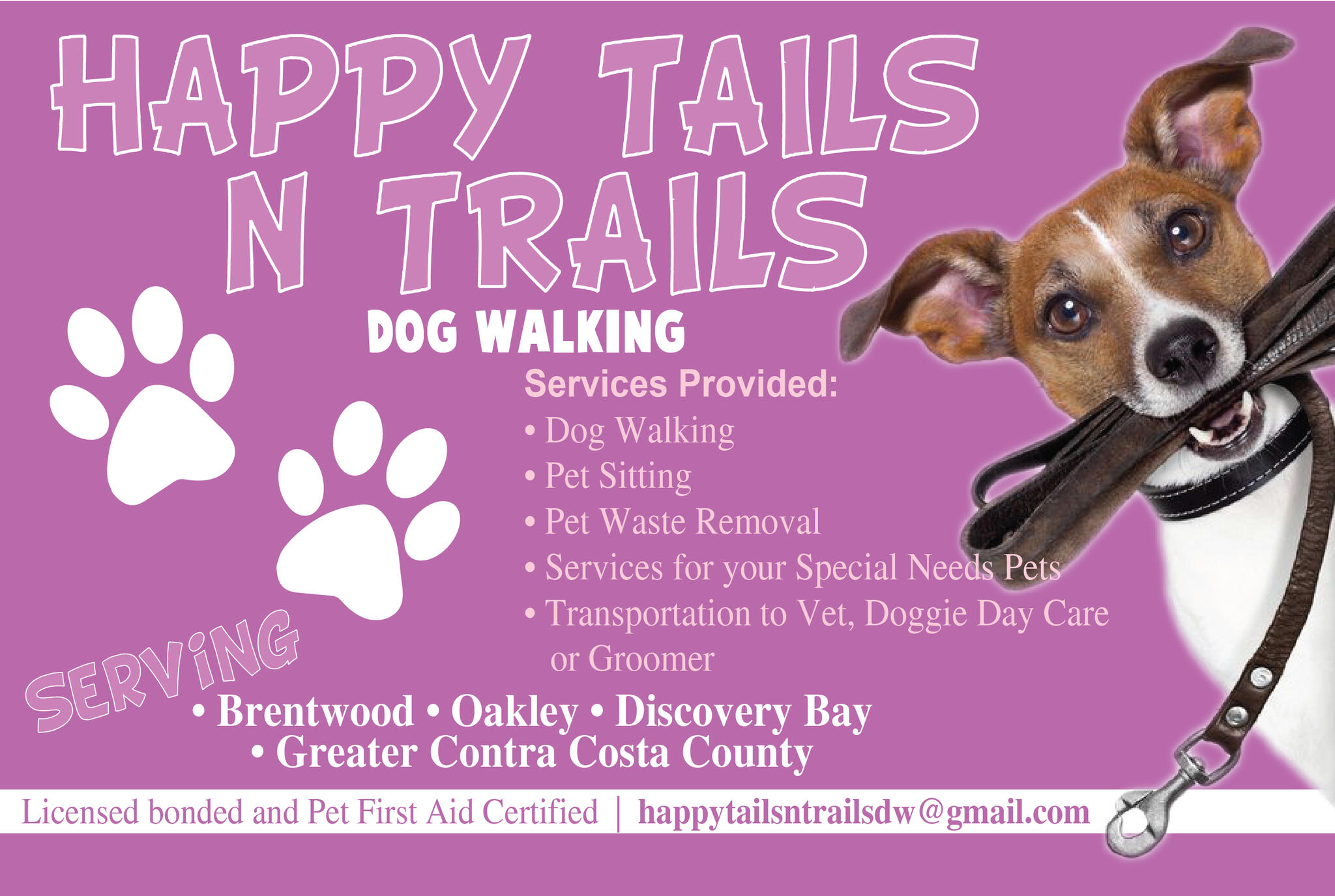 happy trails dog walking