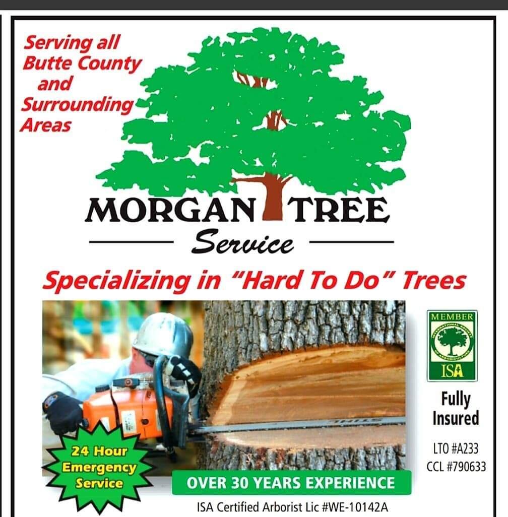 Morgan Tree Service - 9 Recommendations - Oroville, CA - Nextdoor