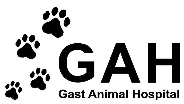 Gast Animal Hospital 31 Recommendations Valparaiso In Nextdoor