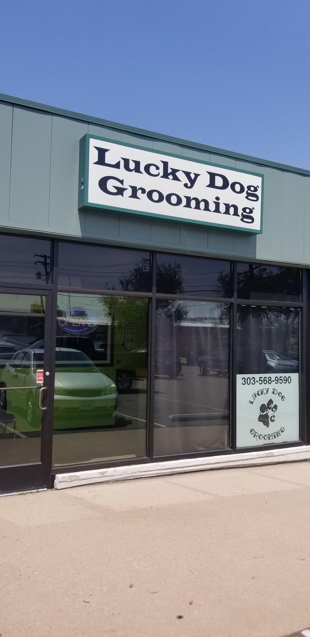 Lucky Dog Grooming - 108 Recommendations - Denver, CO - Nextdoor