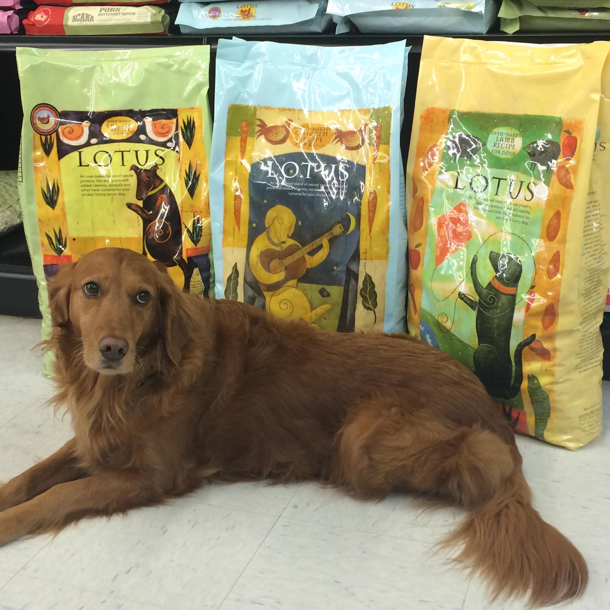 paws in the park pet supply