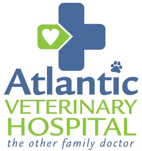 Atlantic Veterinary Hospital 86 Recommendations Marblehead Ma Nextdoor