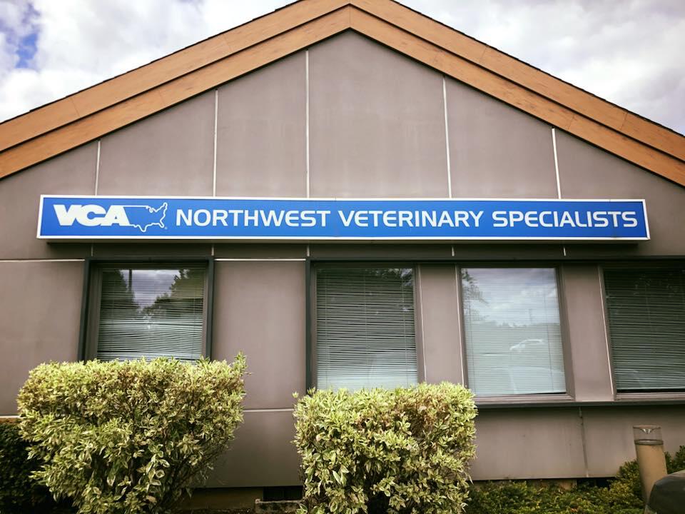 northwest vet specialists