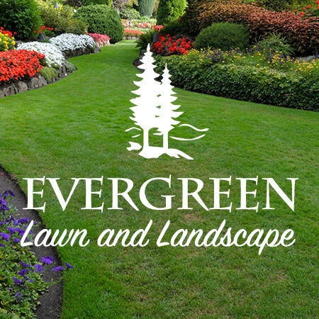 Evergreen Lawn Landscape 60 Recommendations Argyle Tx