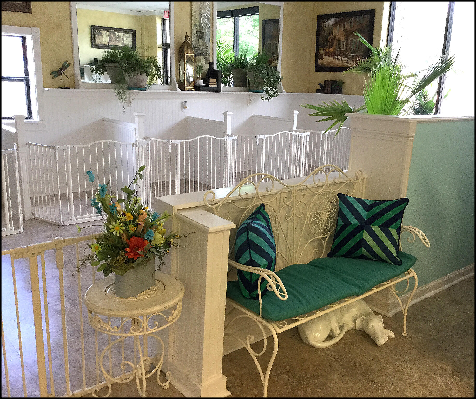 Susie's Professional Pet Grooming 160 Omaha, NE