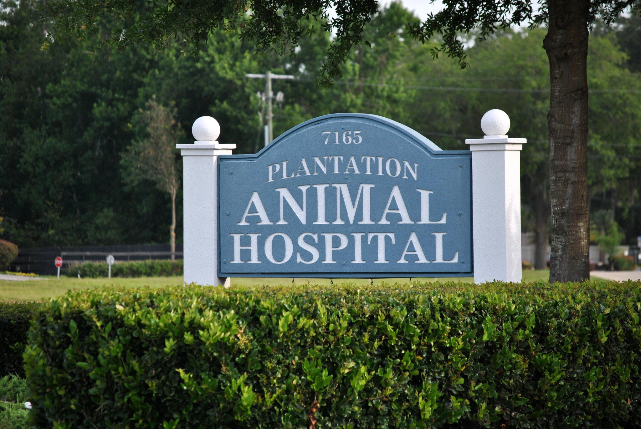 Plantation Animal Hospital Fleming Island