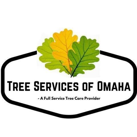 Vinny�s Tree Service Omaha inspire ideas 2022