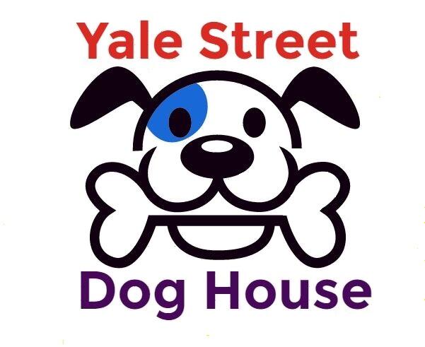 yale street dog house