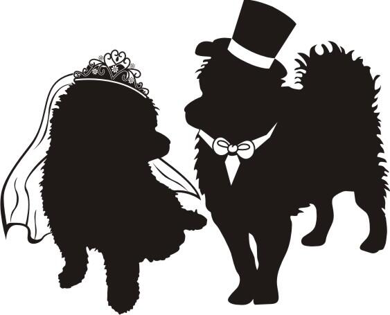 pride and groom mobile dog grooming