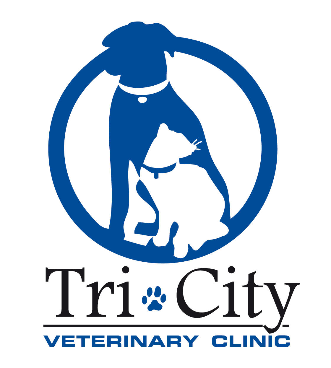 Clinic vet City Москва. Veterinary Hospital. Pet website.