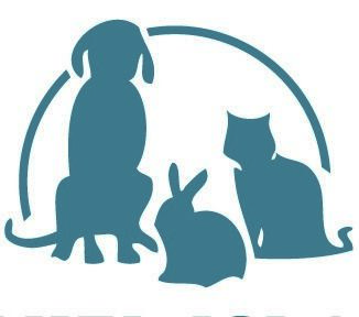 daniel island veterinary