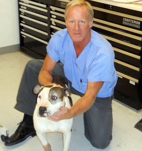 Toluca Burbank Dog Cat Hospital 169 Recommendations Burbank Ca