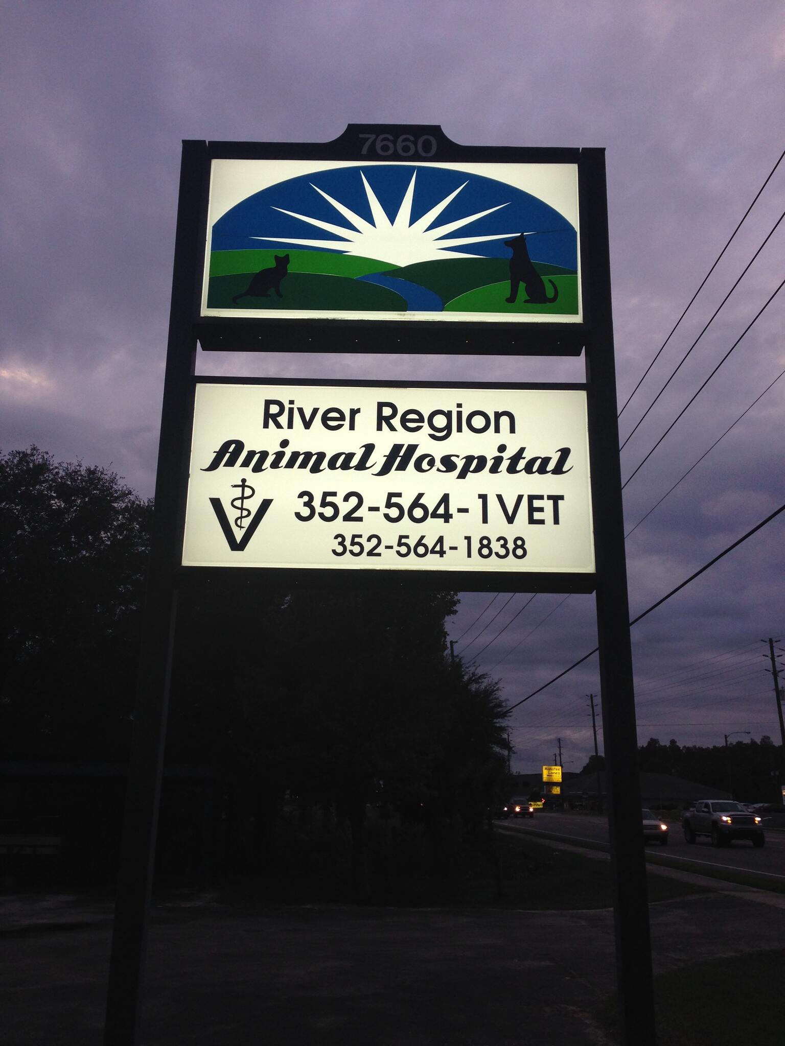 River Region Animal Hospital - 47 Recommendations - Crystal River, FL