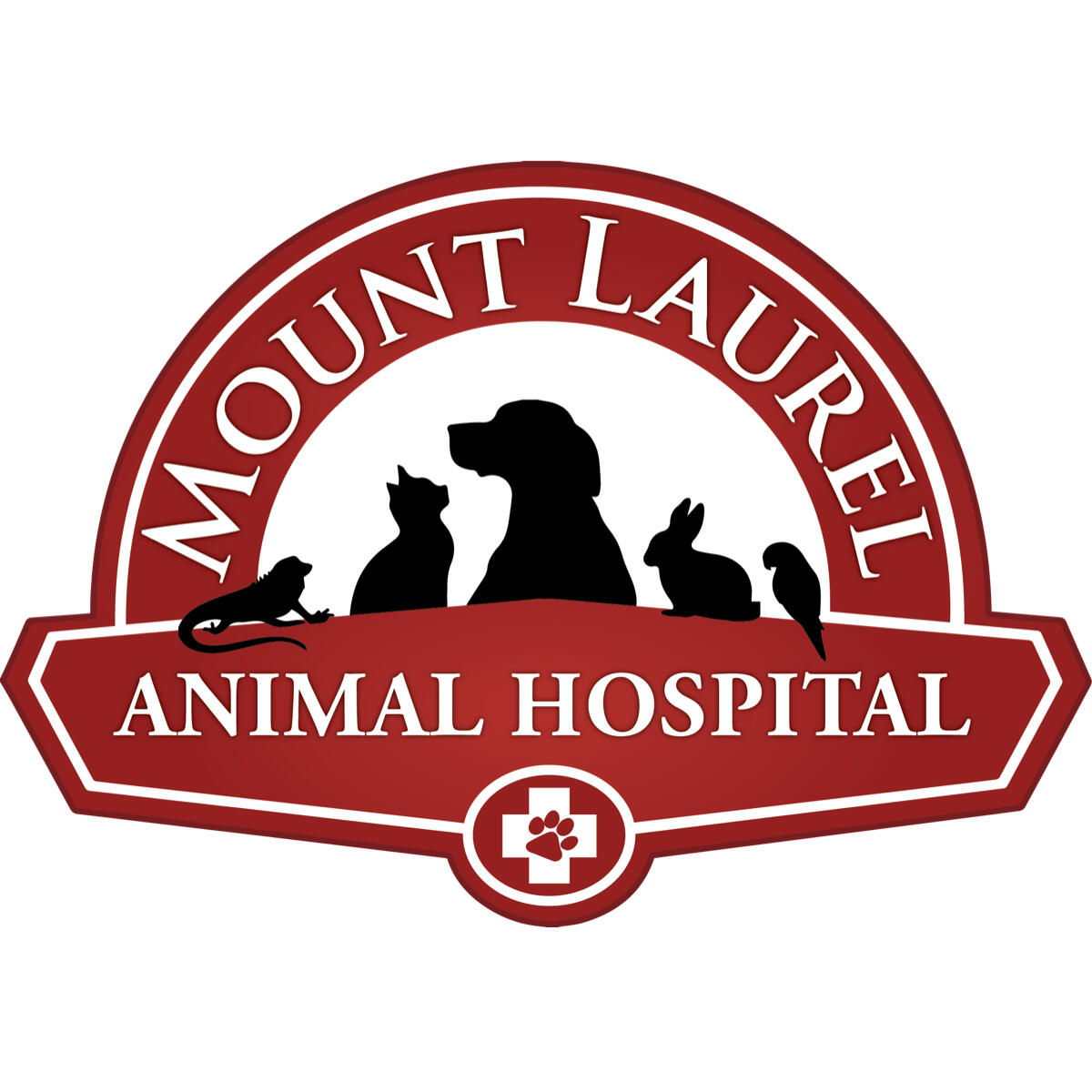 10+ Animal hospital voorhees new jersey ideas in 2021 