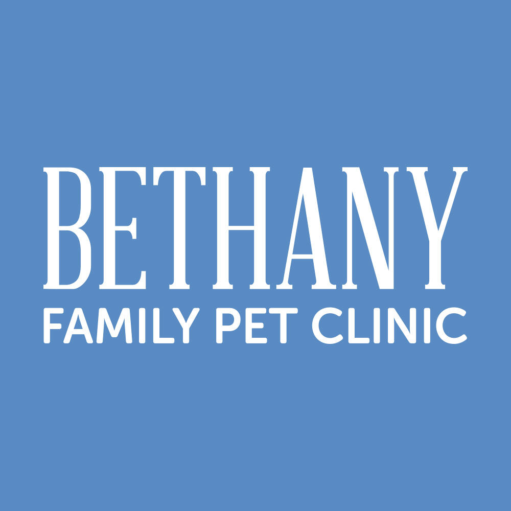 Bethany Family Pet Clinic 510 Portland, OR Nextdoor