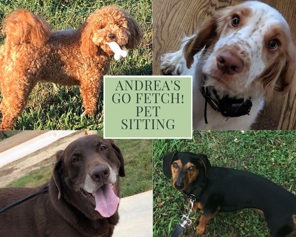 Andrea's Go Fetch! Pet Sitting 7 Greensboro, NC Nextdoor
