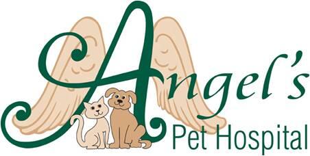 Angel S Pet Hospital 340 Recommendations Tomball Tx