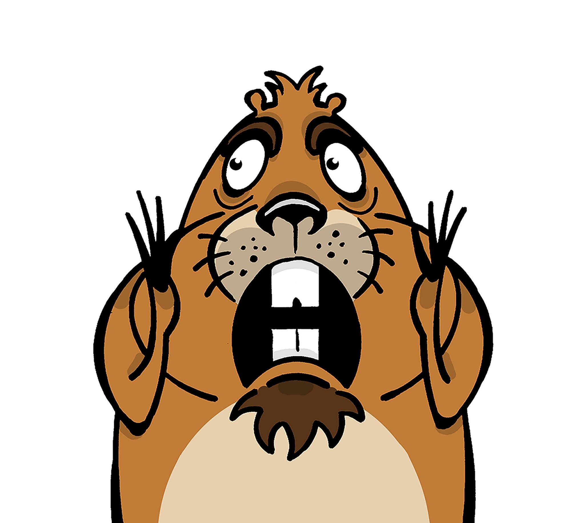 The Gopher Guy 15 Oakley, CA Nextdoor