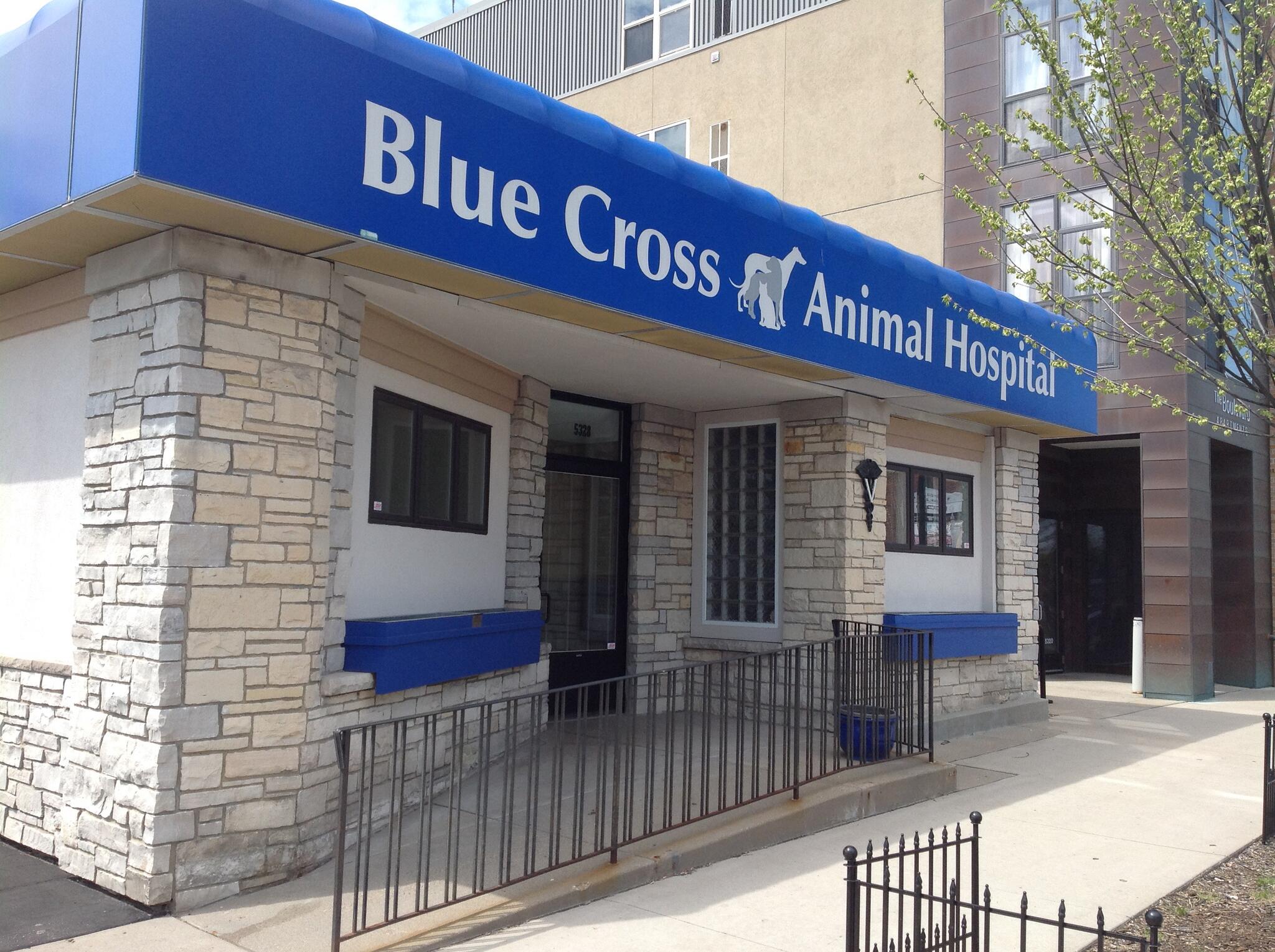 Westgate Pet Clinic 569 Recommendations Minneapolis Mn
