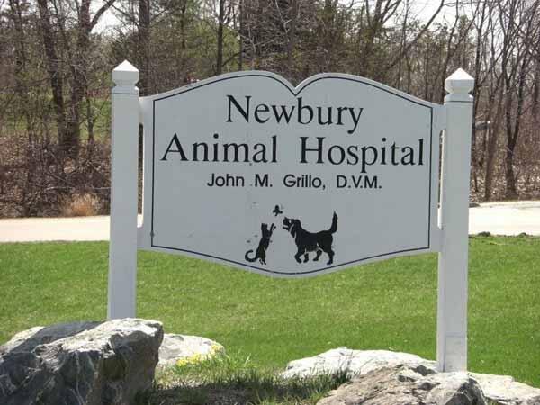 Newbury Animal Hospital 207 Recommendations Newbury Ma