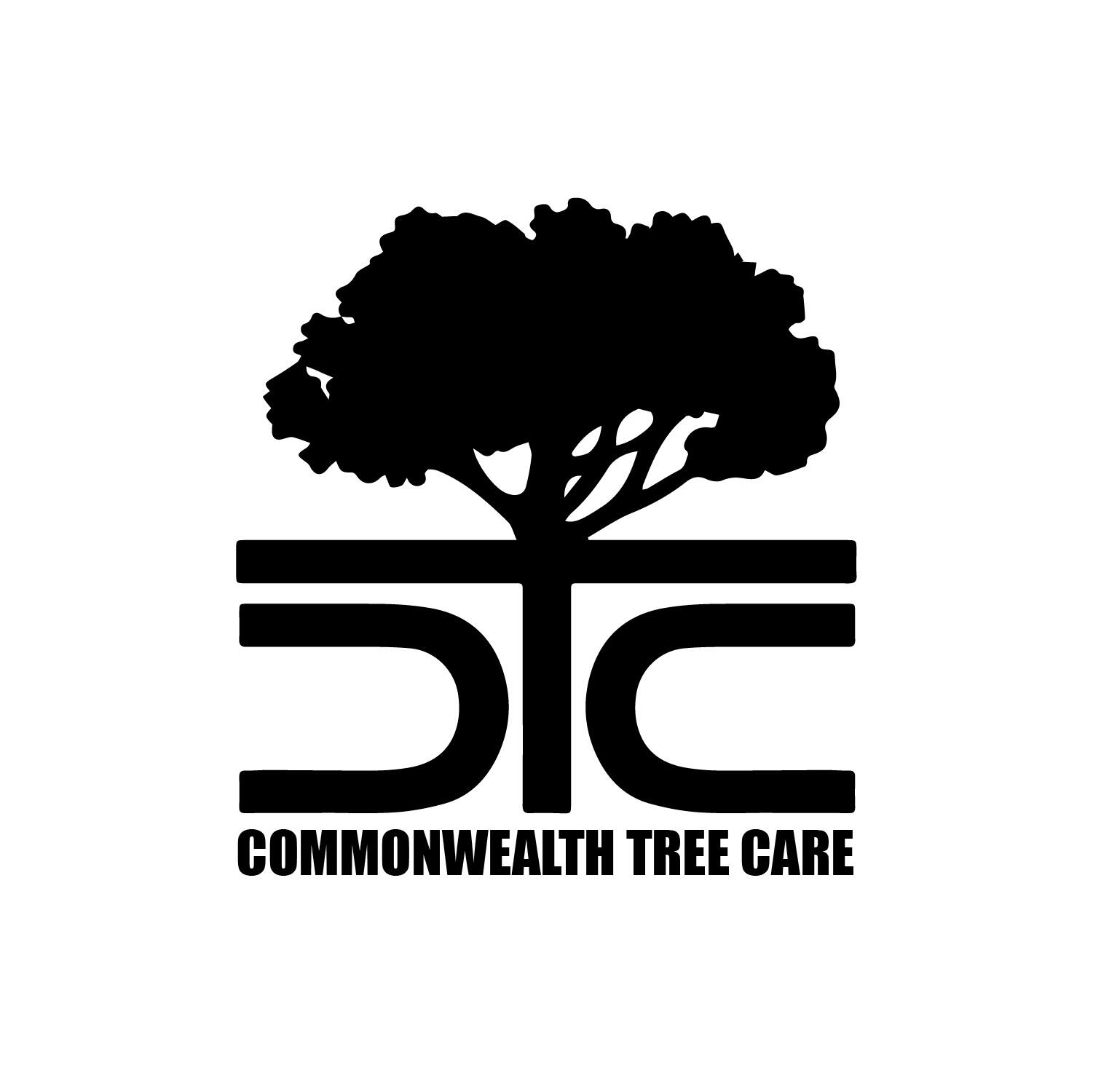 Hernandez Tree Service Richmond Va All information about