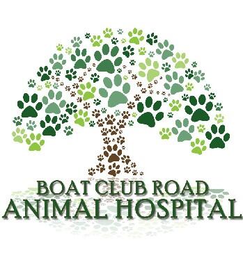 Boat Club Road Animal Hospital 249 Recommendations Fort Worth Tx