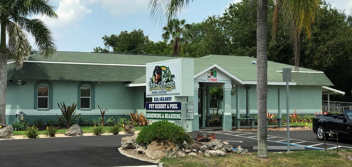 TailsAWaggin Animal Hospital & Pet Resort 59 Fort