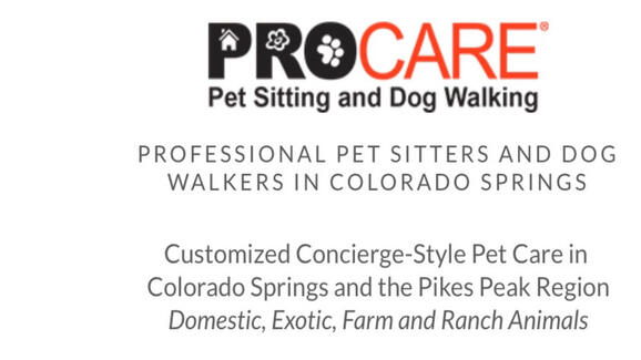 Procare Pet Sitting And Dog Walking 11 Recommendations