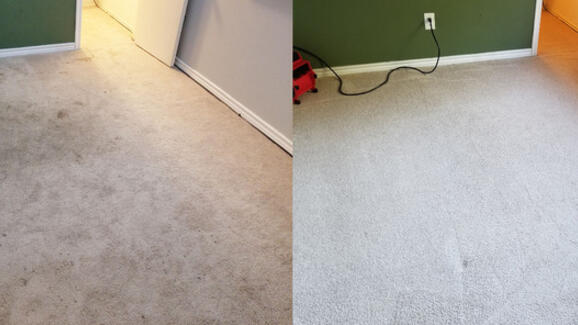 The 9 Best Options For Carpet Cleaning In Houston 2020