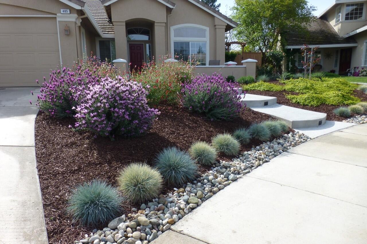 Roseville launches ‘Sustain the Gains’ landscape makeover contest (City ...