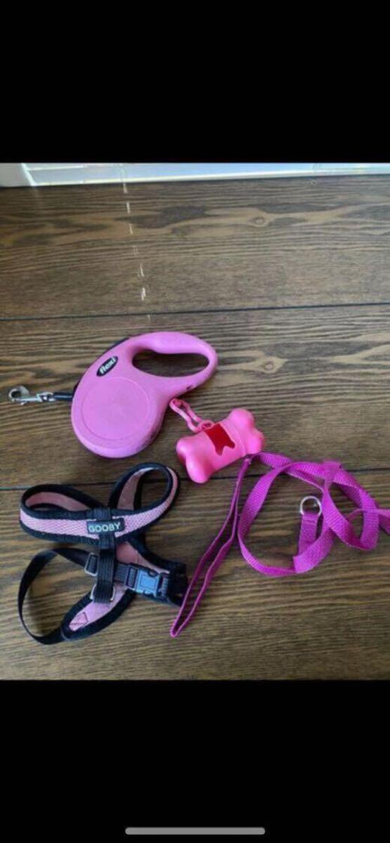 flexi leash extra strap