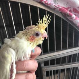 05b16fe67361ecd9f037290fe152a71b.jpg.sma