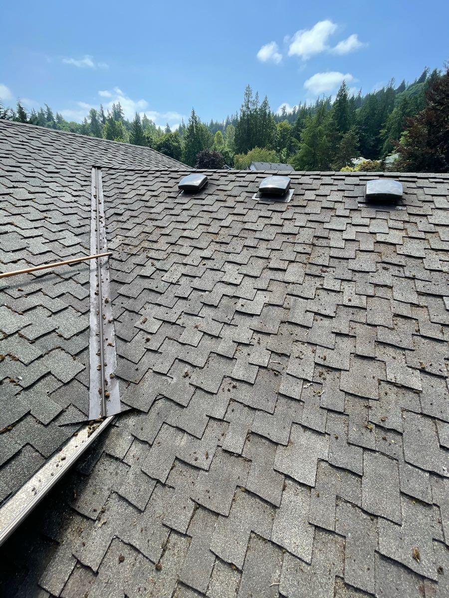 The 10 Best Roof Cleaning Services in Portland, OR 2021